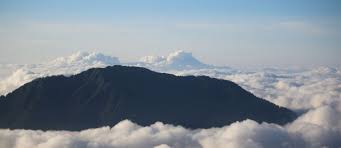 दलदली जमीन पर आसमान छूते वादे: तेज़ रफ़्तार विकास के बीच छूटते छोटे सपने 🚉⚡