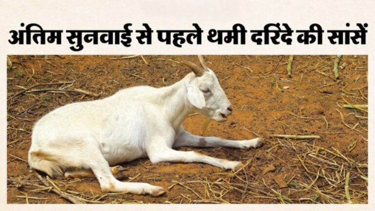 Bulandshahr jail accused of goat cruelty dies of heart attack