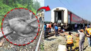 दर्दनाक रेल हादसे  रेलवे ट्रैक पर हाथियों के एक झुंड से