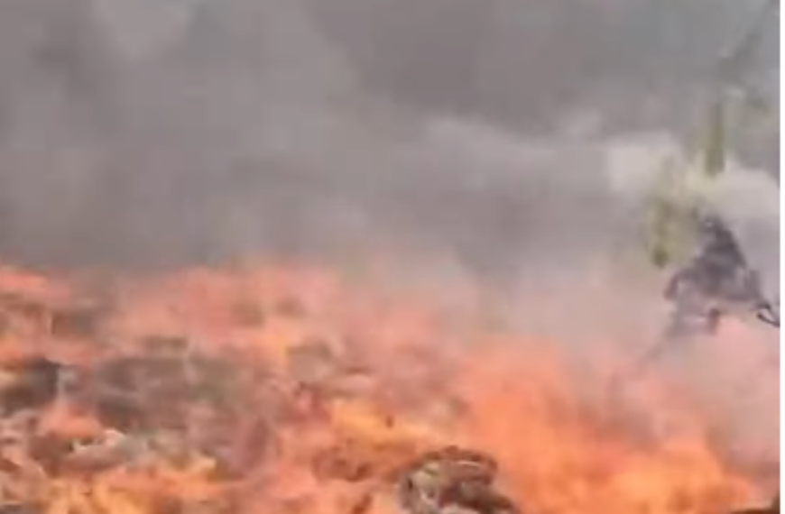 Fire near Agra MG Road bridge railway track Friday January 16 2026