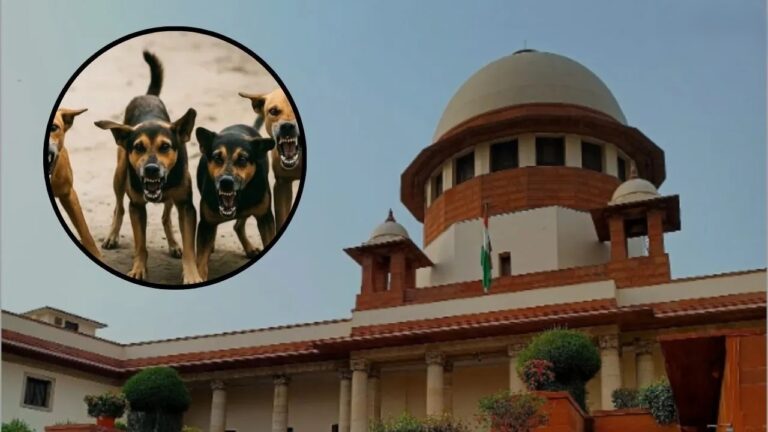Supreme Court hearing on stray dog petitions Justice Sandeep Mehta observation