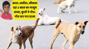 कुत्तों का आतंक