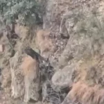 Indian Army operation Udhampur Kishtwar Jaish terrorist cave encounter M4 carbine recovery
