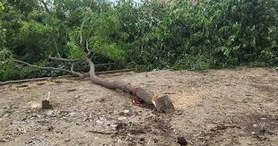 Shri Krishna Radha Ji Braj Bhoomi Brij Khandelwal Taj News