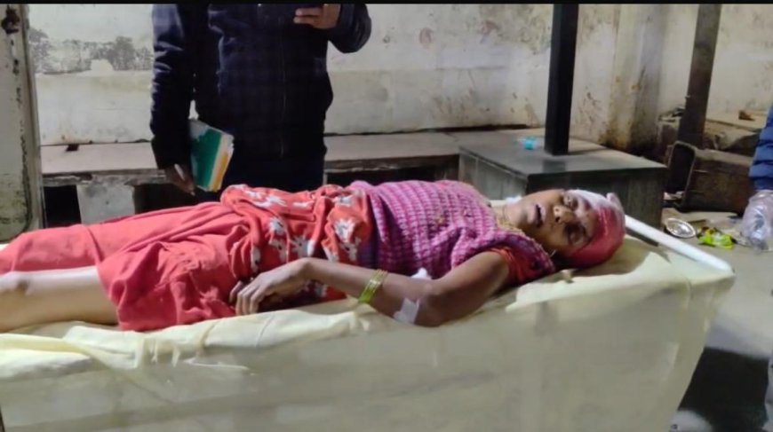 आगरा हत्या कांड थाना शाहगंज, भाई ने बहन की गोली मारकर हत्या की