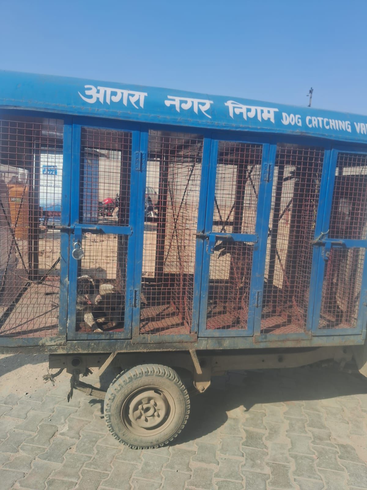 SN Medical College Agra News Pic 4