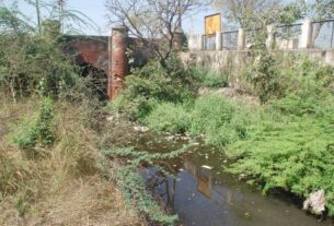 WhatsApp Image 2026 03 09 at 10.59.07 AM