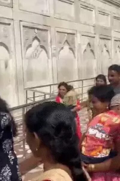 ताजमहल में मधुमक्खियों का हमला