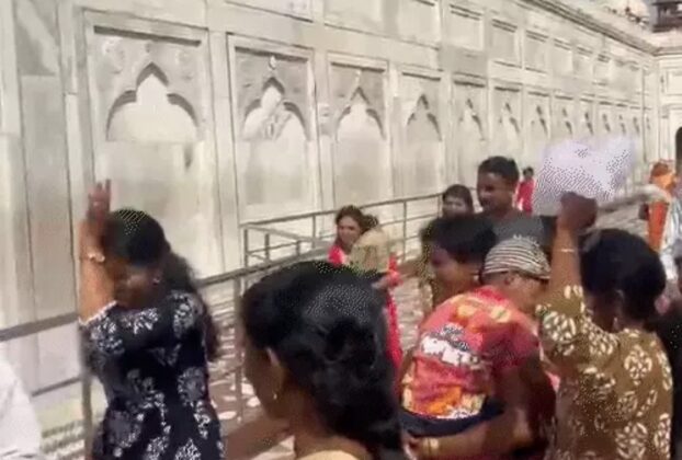 ताजमहल में मधुमक्खियों का हमला