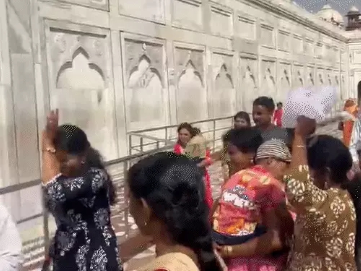 ताजमहल में मधुमक्खियों का हमला