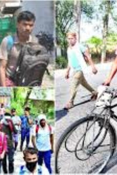 फतेहपुर सीकरी में मधुमक्खियों का हमला