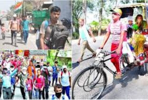 फतेहपुर सीकरी में मधुमक्खियों का हमला