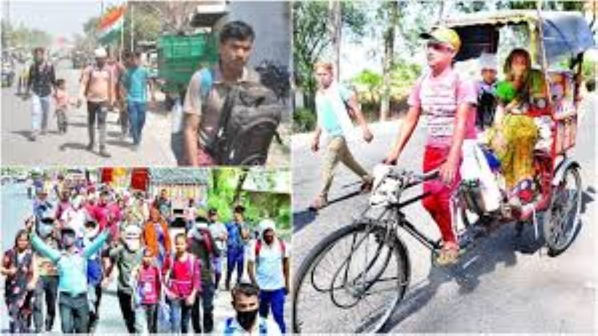 फतेहपुर सीकरी में मधुमक्खियों का हमला