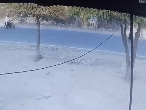 आगरा में 8 लाख की लूट