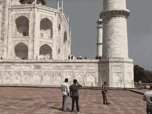 ताजमहल में मधुमक्खियों का हमला