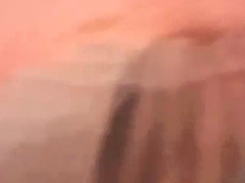 पूर्व सीएम फारूक अब्दुल्ला पर फायरिंग की कोशिश