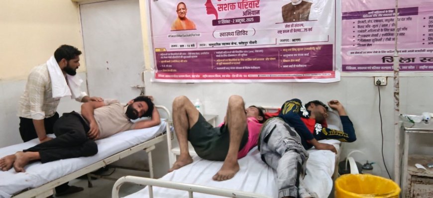 फतेहपुर सीकरी में मधुमक्खियों का हमला