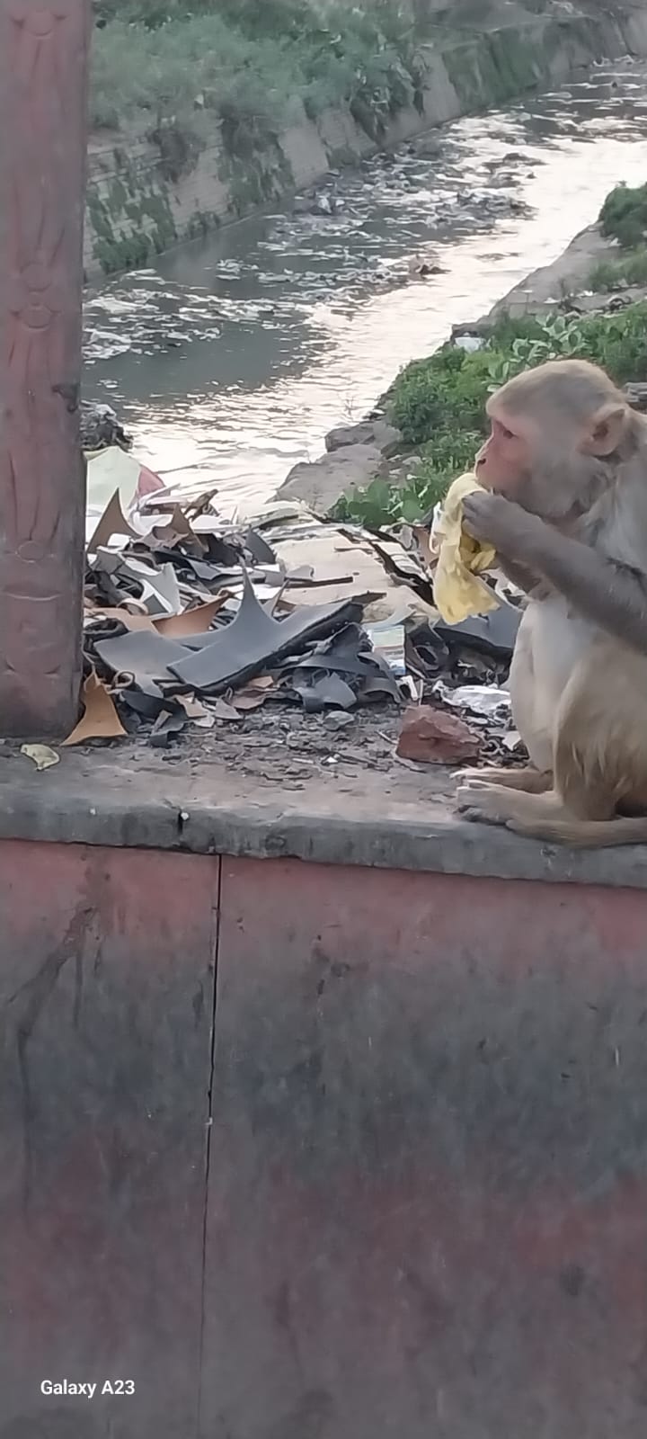 नालों में पड़ा लेदर वेस्ट और रेक्सीन कटिंग्स