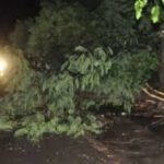 आगरा में मौसम का भयंकर कहर: आंधी-बारिश ने खोली व्यवस्थाओं की पोल, अंधेरे में डूबीं दर्जनों कॉलोनियां आगरा में मौसम का भयंकर कहर