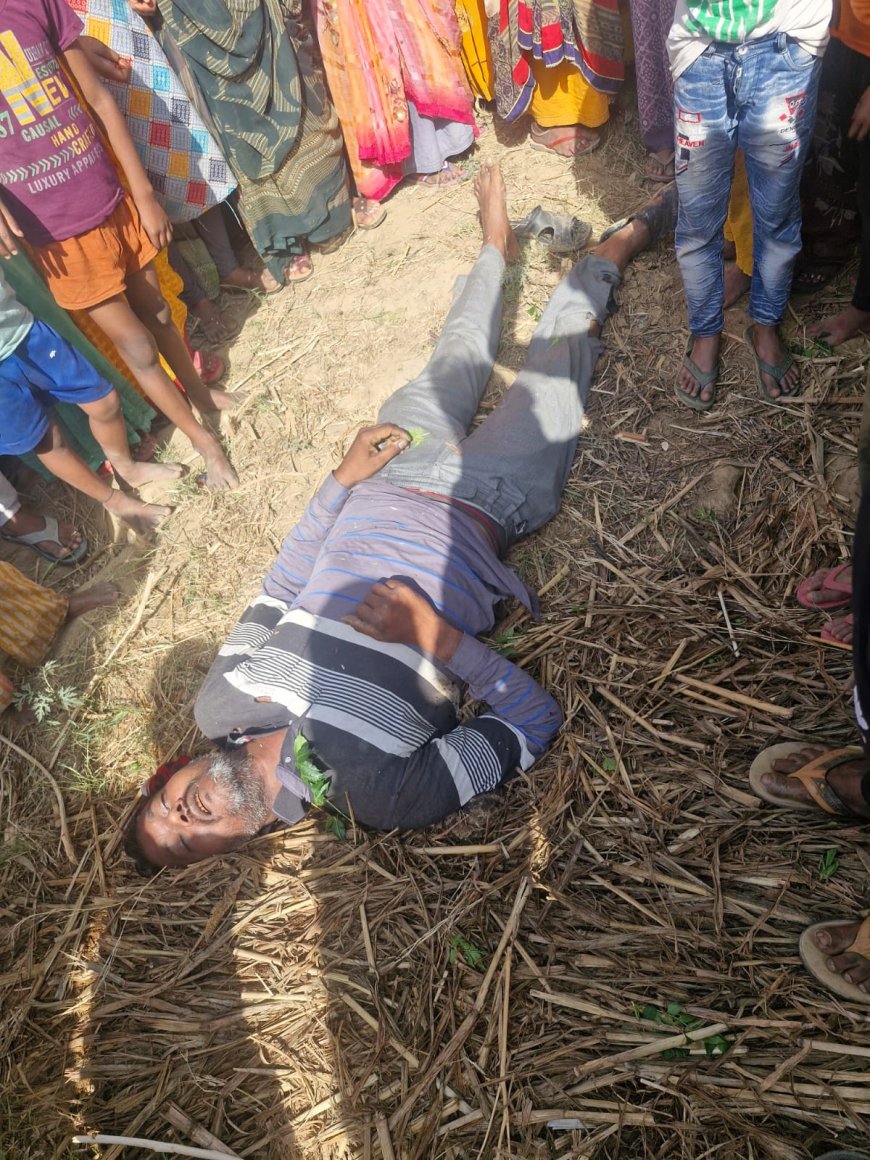 आकाशीय बिजली के प्रहार से फटा हुआ विशाल नीम का पेड़