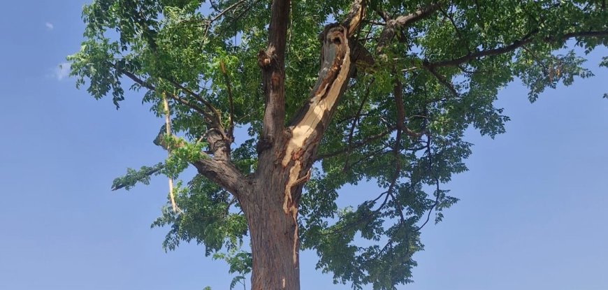 आकाशीय बिजली गिरने से मृत महेश कुमार का शव और विलाप करते परिजन