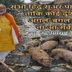 Ram Puniyani article analyzing the use of pigs as a new weapon in hate politics and communal violence