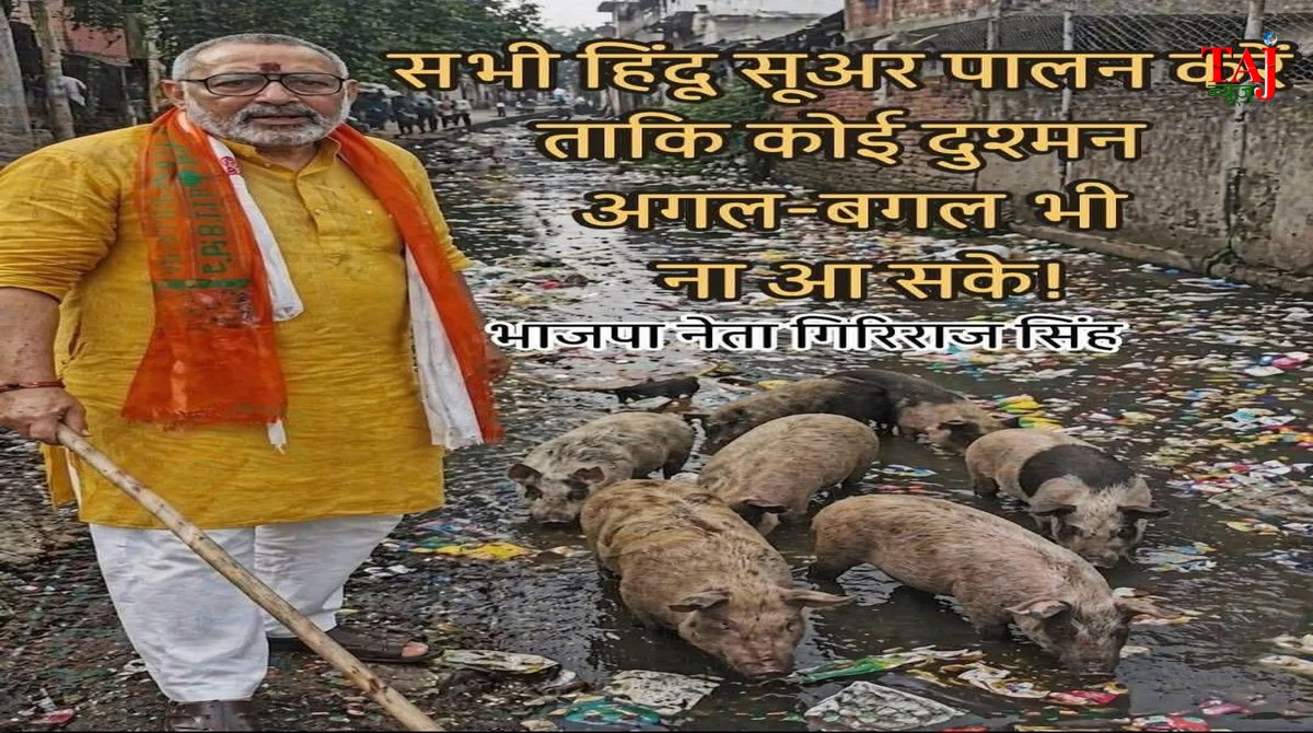 Ram Puniyani article analyzing the use of pigs as a new weapon in hate politics and communal violence