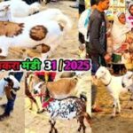 आगरा में बकरीद की तैयारियां पूरी: बाजारों में खरीदारों की भीड़, ईदगाह में सुबह 6:45 बजे होगी नमाज़ Elegant layout featuring historical mosque minarets and traditional festival markers
