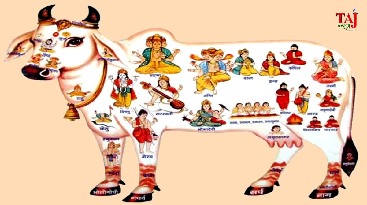 पश्चिम बंगाल में बकरीद से पहले पशु बाजारों में बढ़ी हलचल और राजनीतिक विवाद
