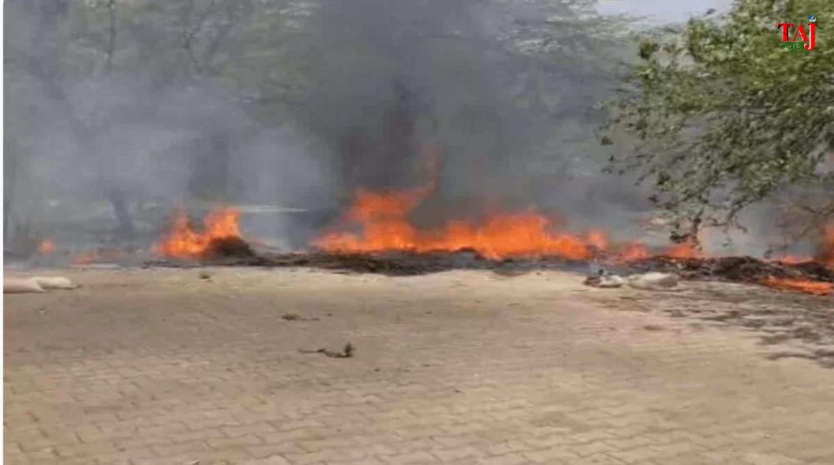 Close-up visual of local municipal garbage bins and dried roadside vegetation affected by sudden urban fires in Agra