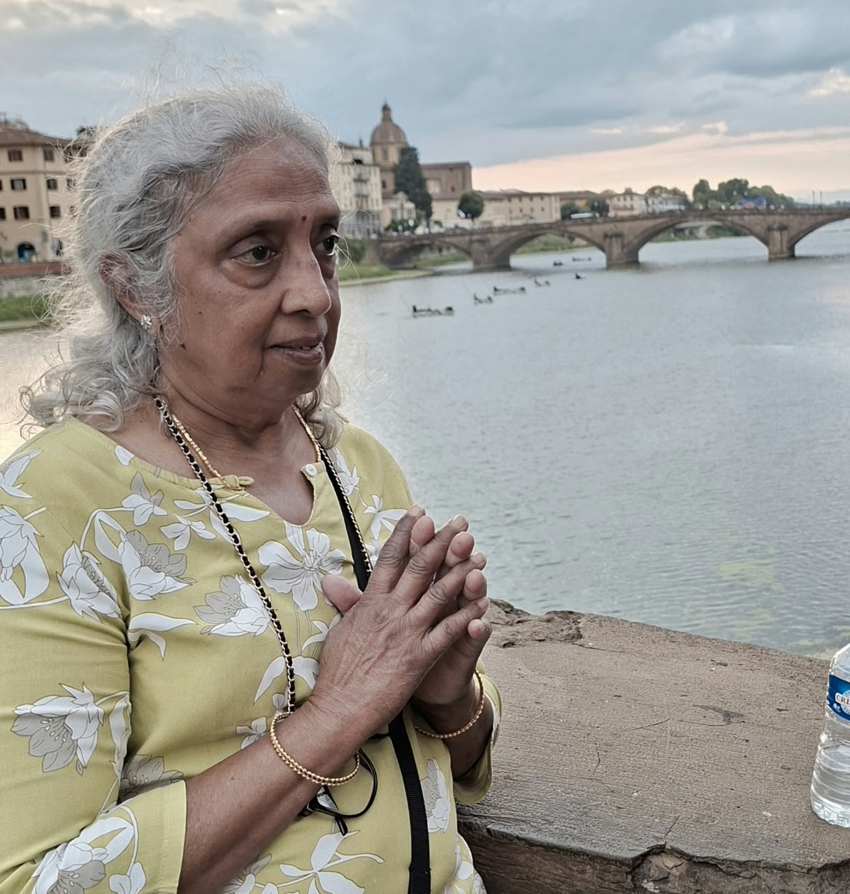 यूरोप की नदियों और जलमार्गों का दृश्य